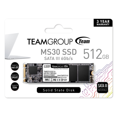 Team MS30 (TM8PS7512G0C101) 512GB, M.2 Sata Interface, PCIe Gen3, Read 550MB/s, Write 480MB/s, 3 Year Warranty image 2