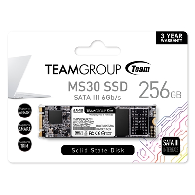 Team MS30 (TM8PS7256G0C101) 256GB, M.2 Sata Interface, PCIe Gen3, Read 550MB/s, Write 470MB/s, 3 Year Warranty image 2
